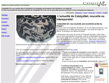 Tablet Screenshot of catalyznet.com